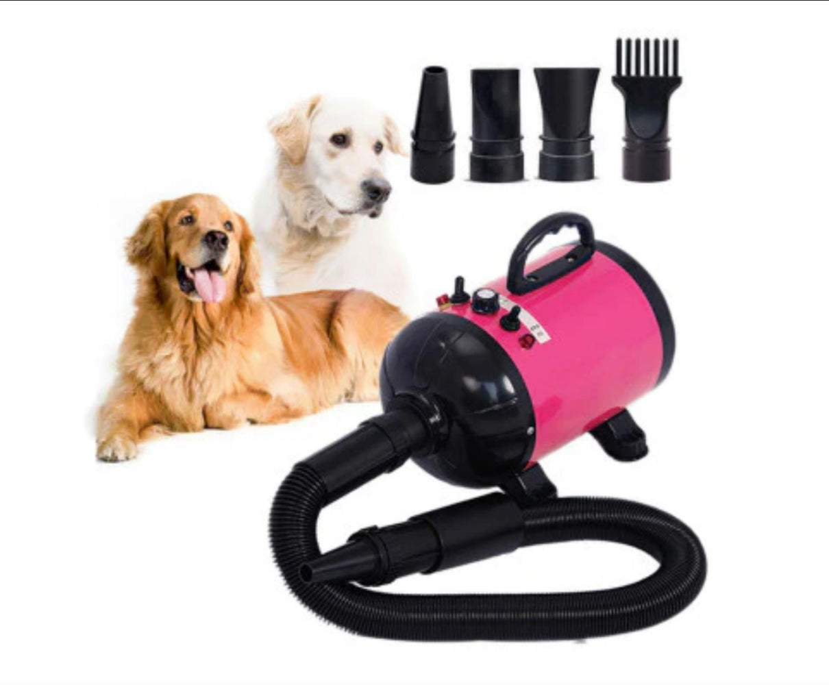 2800W Dog Dryer High Velocity Pet Dog Pet Blow Dryer Adjustable Speed 4 Nozzles