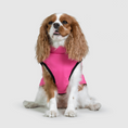 Load image into Gallery viewer, Dog Jacket
