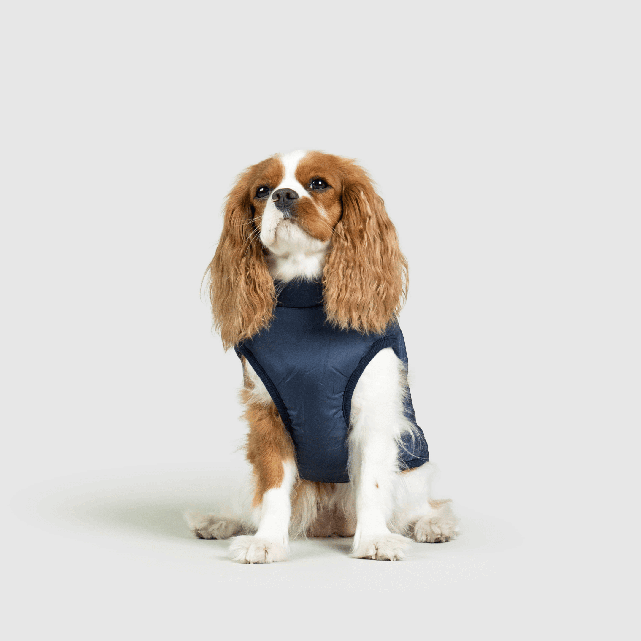 Dog Jacket