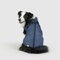 Load image into Gallery viewer, Dog Jacket
