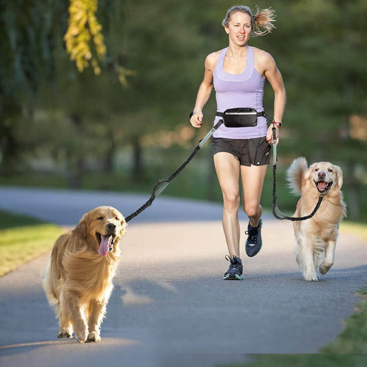 Double Dog Leash for Two Dogs