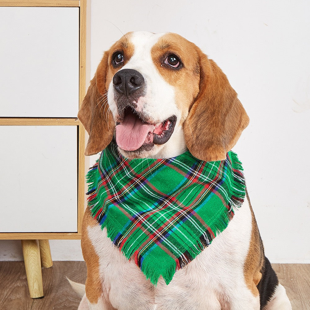 Dog Bandanas 2 Pack