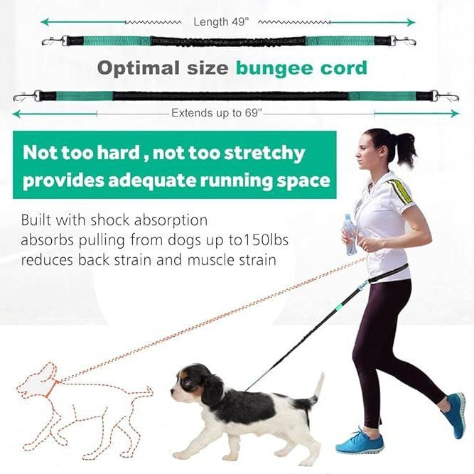 Double Dog Leash for Two Dogs