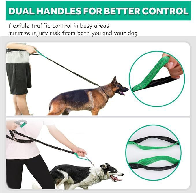 Double Dog Leash for Two Dogs