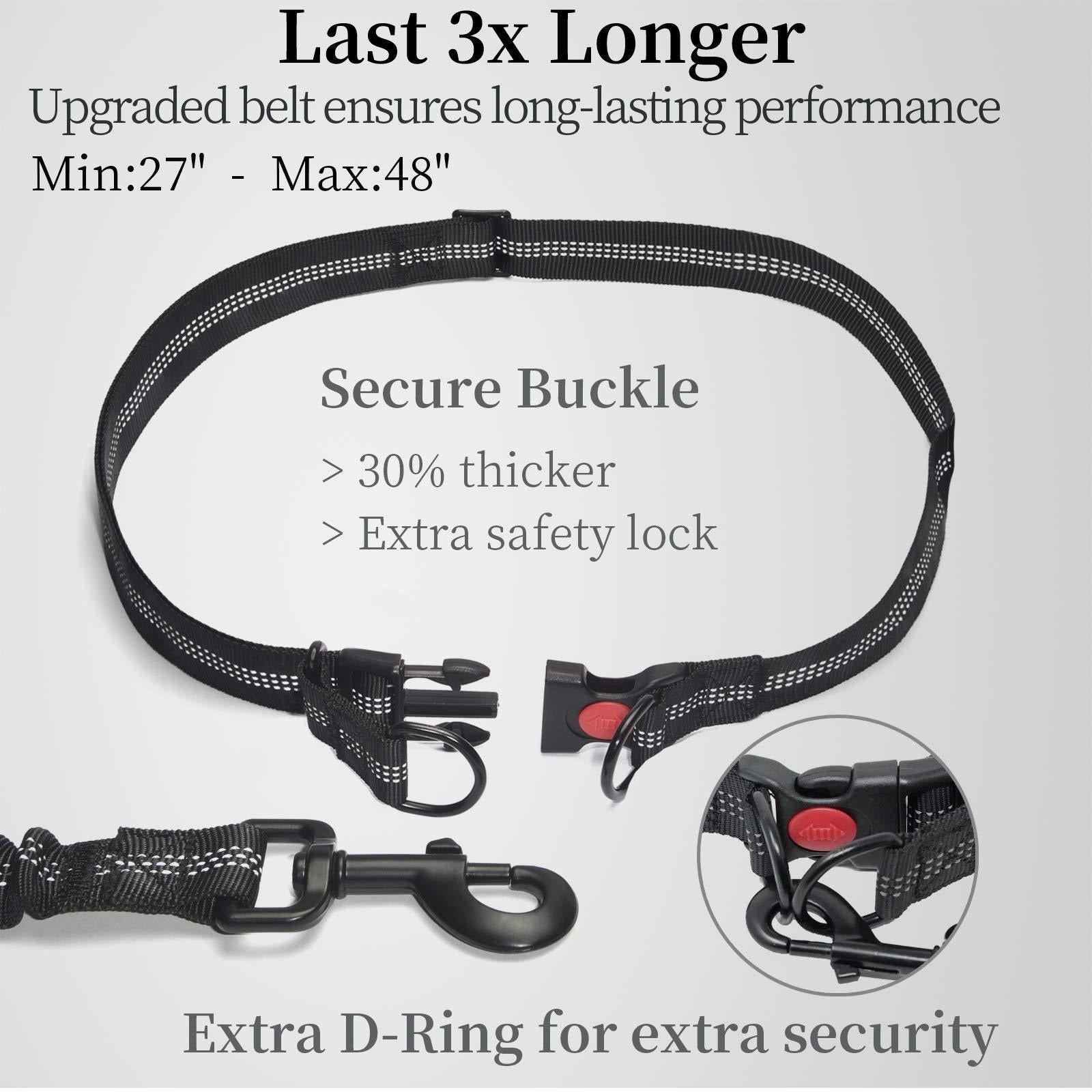 Double Dog Leash for Two Dogs