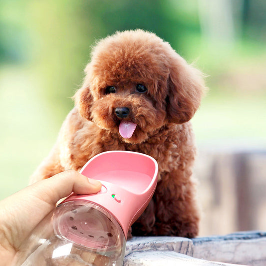 Portable dog water bottle