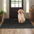 Load image into Gallery viewer, Soft Chenille Pet Rug
