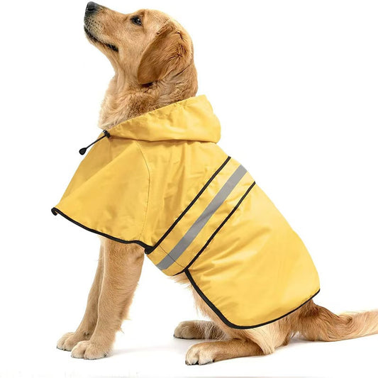 dog raincoat