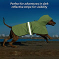 Load image into Gallery viewer, dog raincoat
