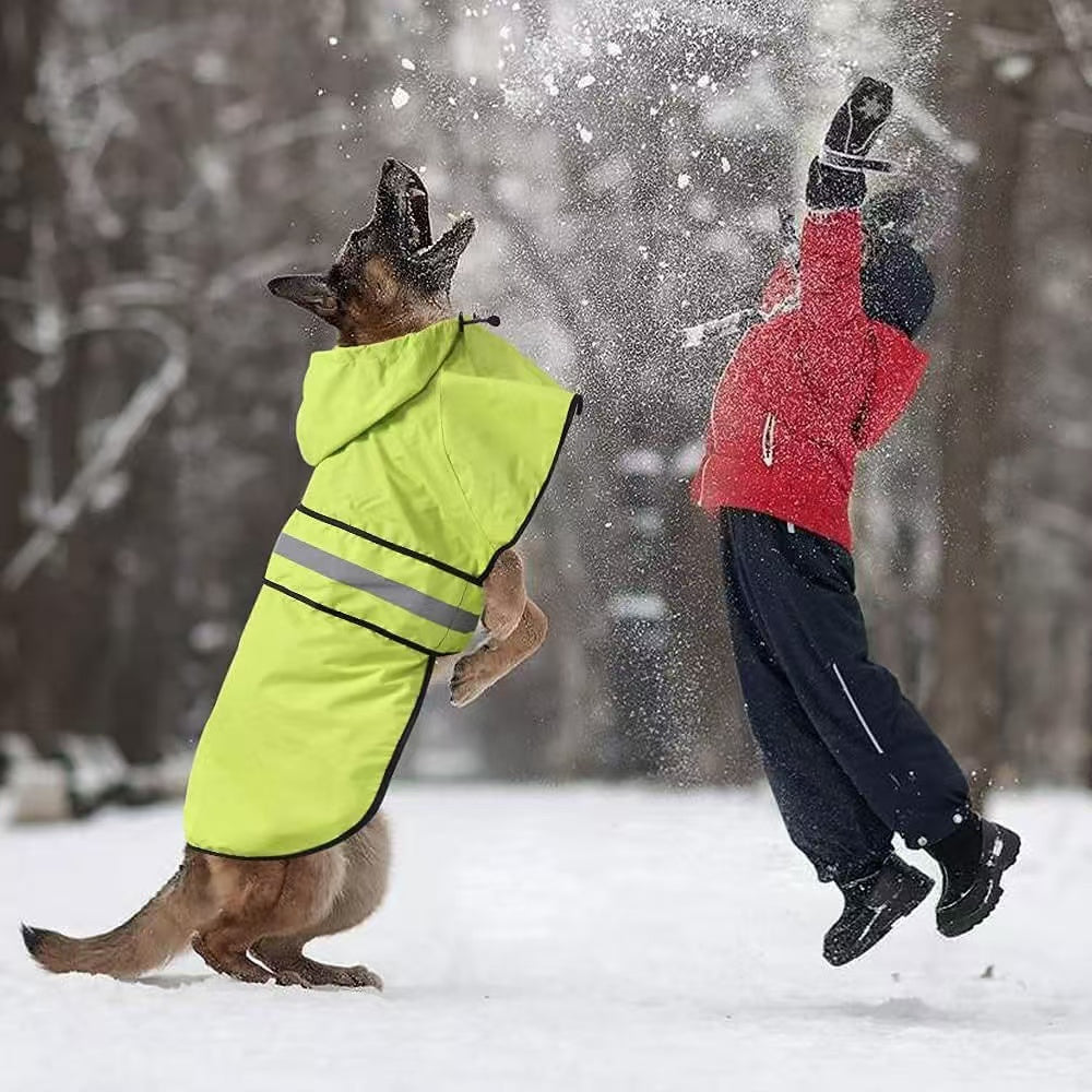 dog raincoat