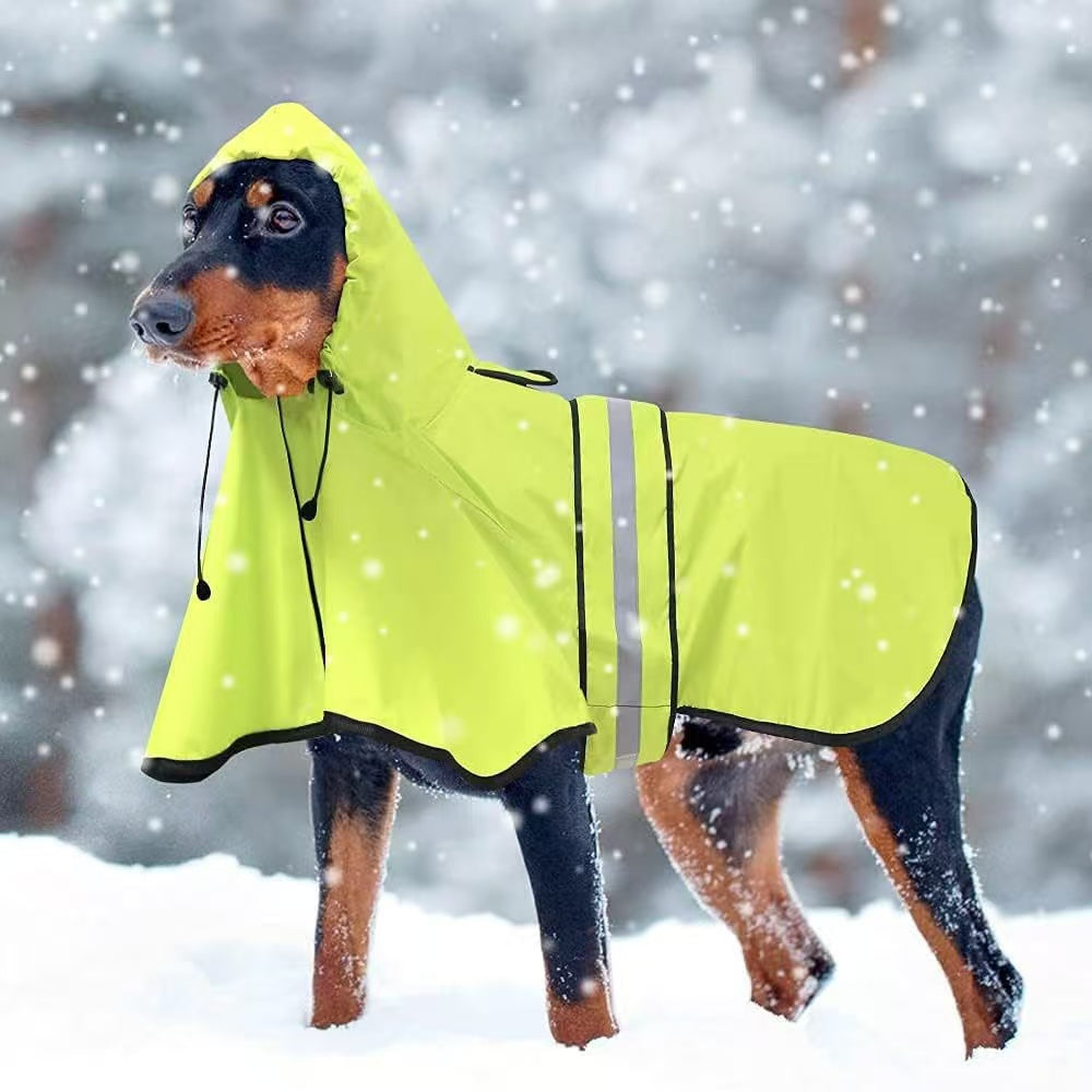 dog raincoat