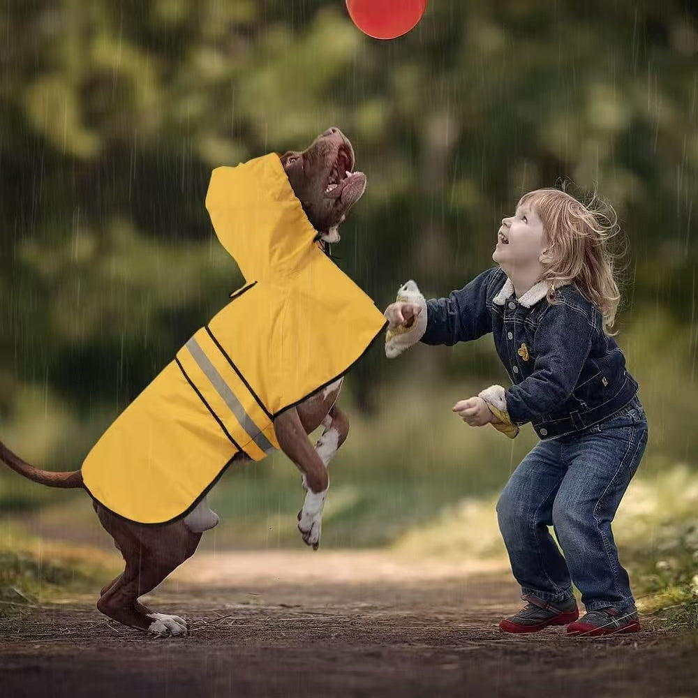 dog raincoat