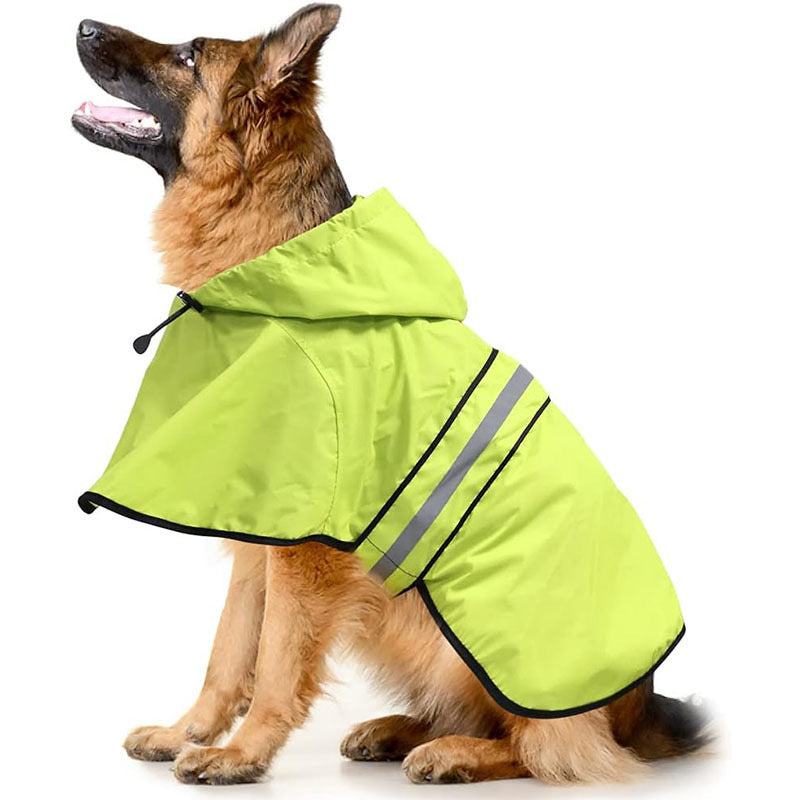 dog raincoat