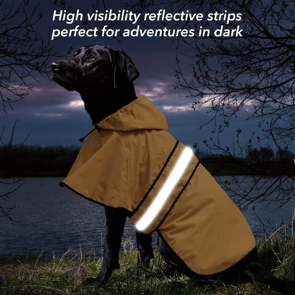 dog raincoat