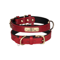 Load image into Gallery viewer, Customizable Padded Pet Collar
