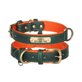 Load image into Gallery viewer, Customizable Padded Pet Collar
